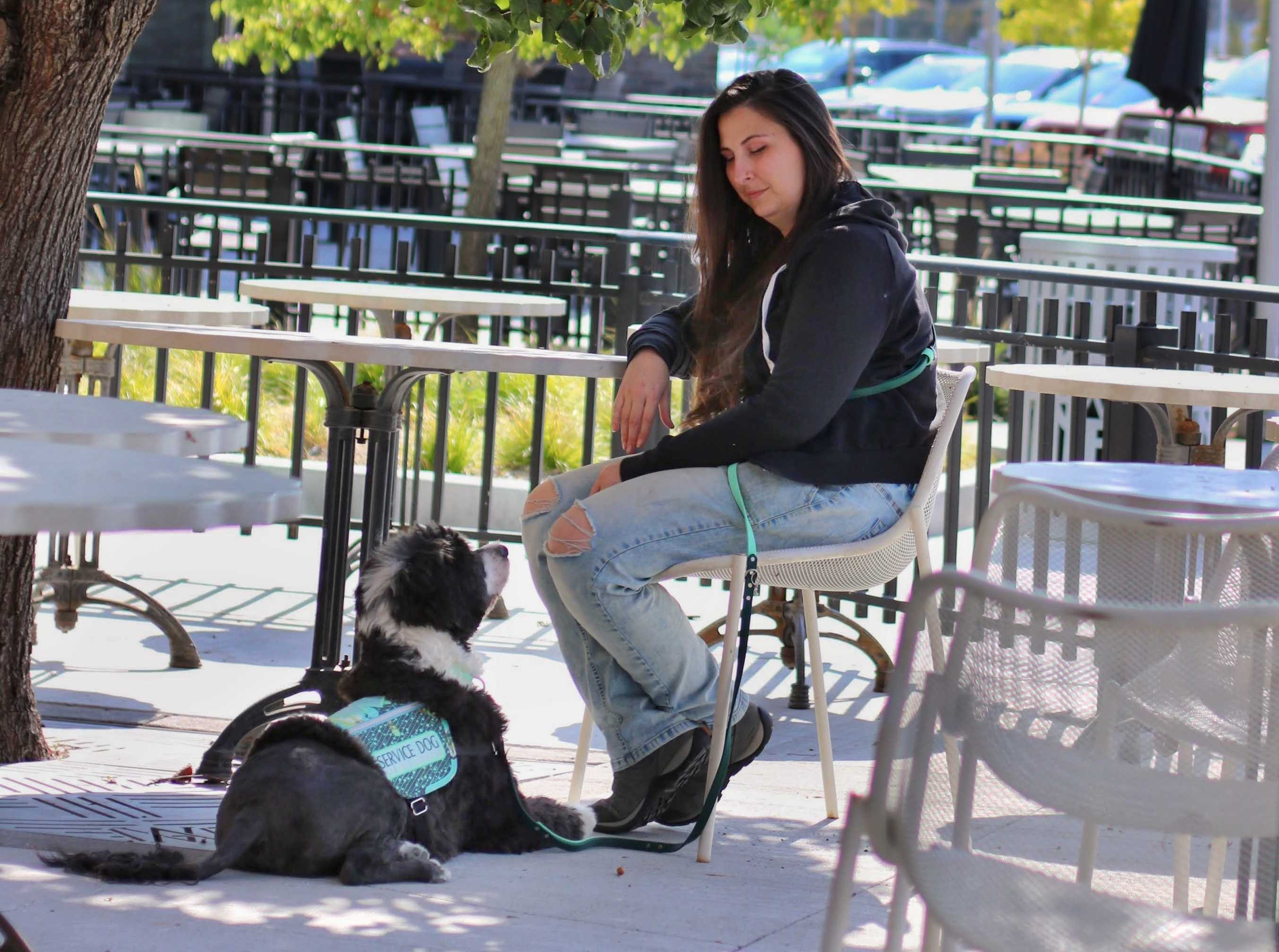 A woman wearing a black hoodie and ripped jeans sits at an outdoor café table, looking down at a black and white Portuguese Water Dog lying on the ground in front of her. The dog is wearing a seafoam green service dog vest and gazes up at her. The setting features trees, metal railings, and patio furniture under a sunny sky.
